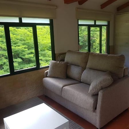 Pequena Cabana Rodeada De Verde Y Cerca De Todo Villa Cotorrio Ngoại thất bức ảnh
